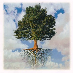 Menjadi pokok yang kukuh akarnya,batang yang teguh, dahan yang kuat, dedaunan yang menghijau serta hidup subur memberikan manfaat kepada sekelilingnya.